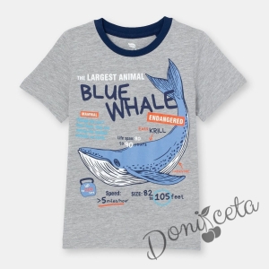  Детска тениска за момче в сиво с картинка а кит Blue Whale 1