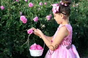 Официална детска дълга рокля в розово