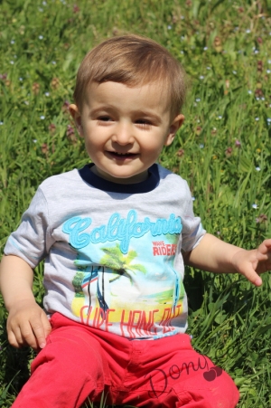 Детска тениска  за момче в сиво с летни мотиви