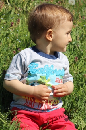 Детска тениска  за момче в сиво с летни мотиви
