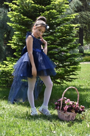 Официална детска рокля с голяма панделка с 3D пеперуди и с тюл в тъмносиньо Хриси 