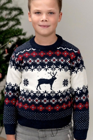 Детски коледен пуловер в тъмносиньо и бяло за момче 7742258