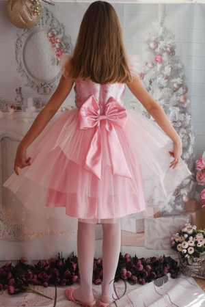 Официална детска рокля с тюл в розово с Пес Патрул 3
