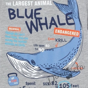  Детска тениска за момче в сиво с картинка а кит Blue Whale 2